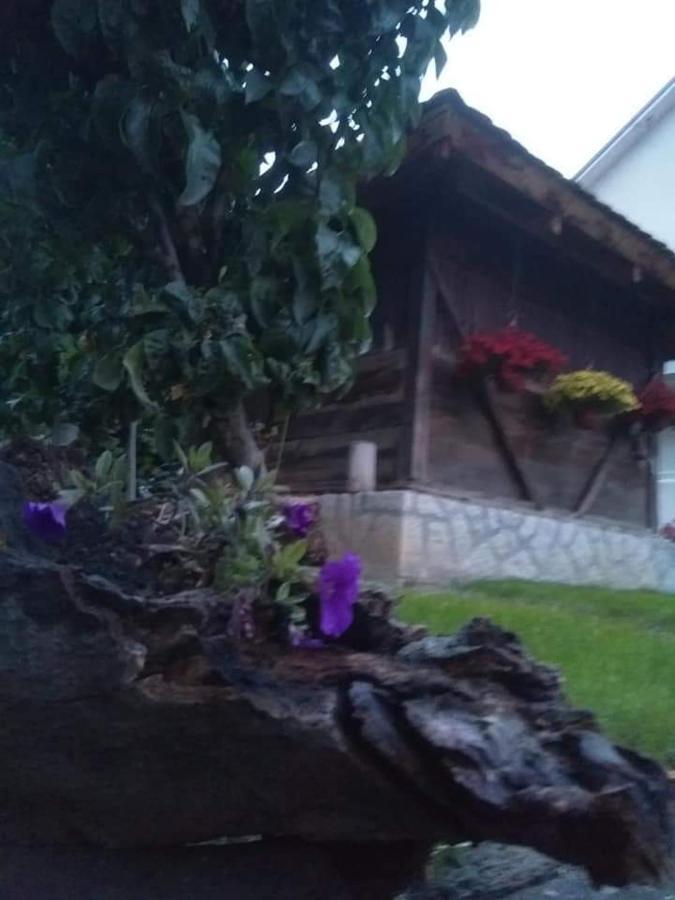 Djurdja Apartment Aranđelovac Exteriér fotografie